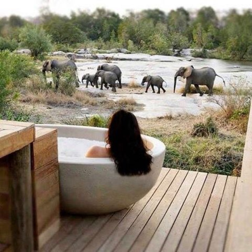 Meet your Posher, Brooke